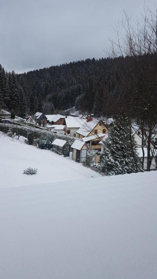 Monteurwohnung Aroba Fehrenbach Exterior photo